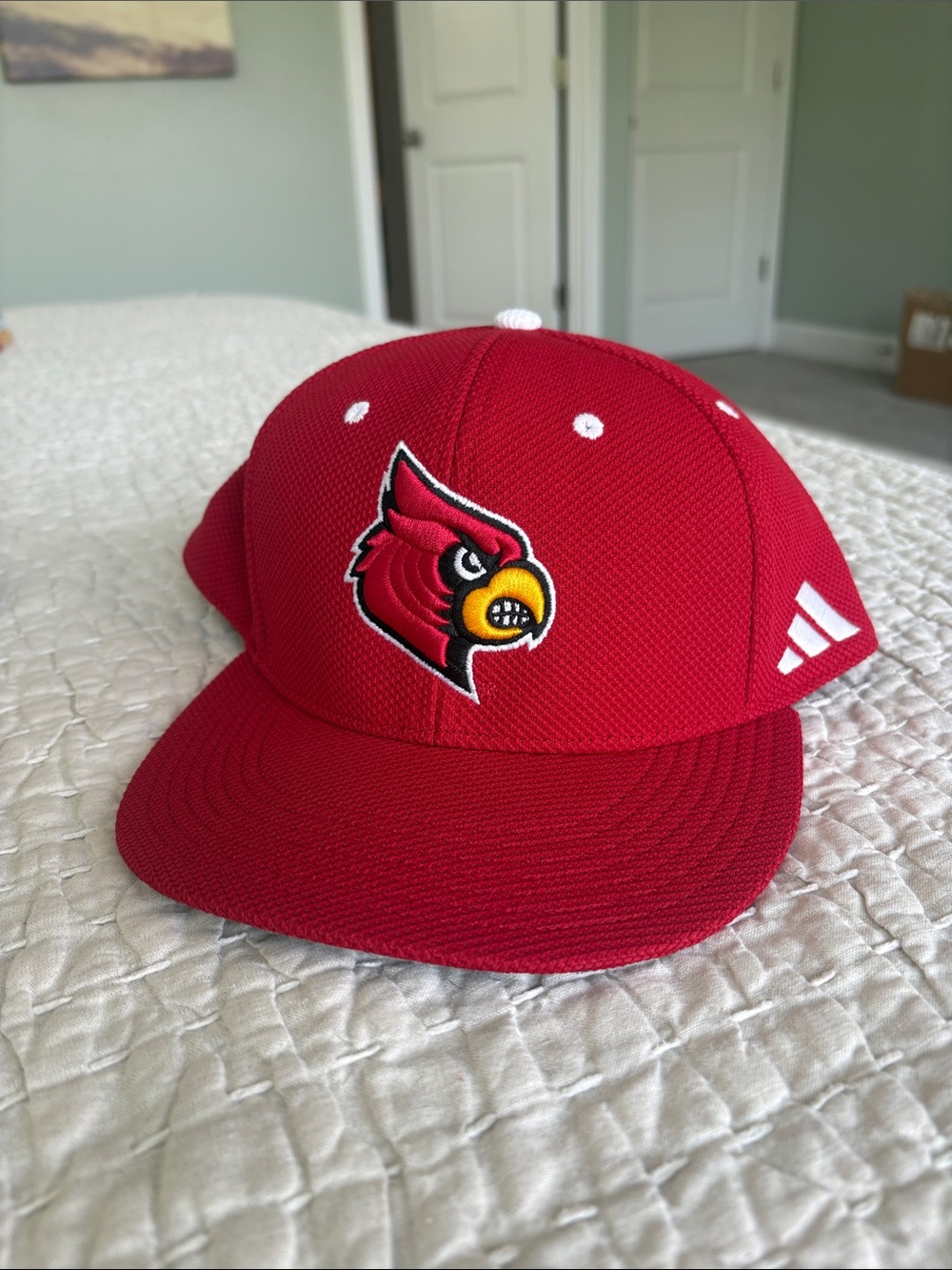 adidas Red Louisville Cardinals Hat